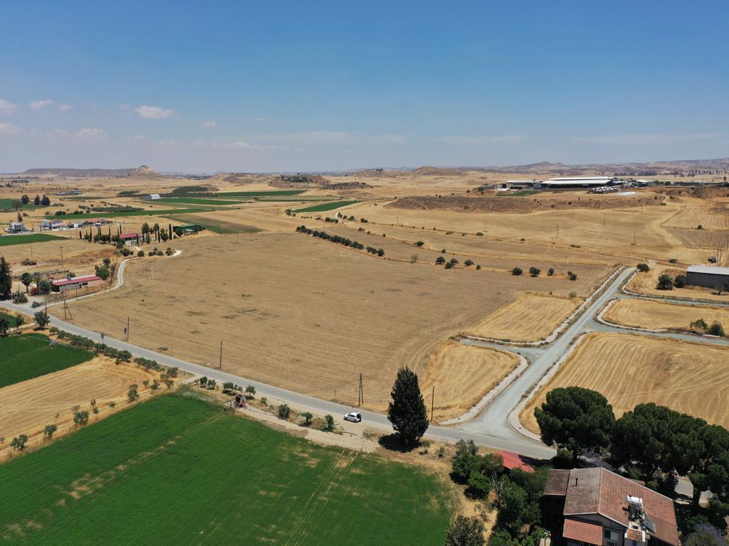 Field-Potamia-PR14488