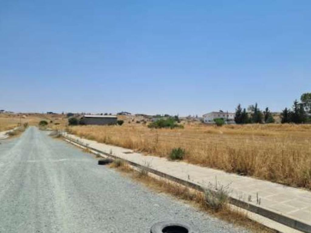 Field-Potamia-PR14488