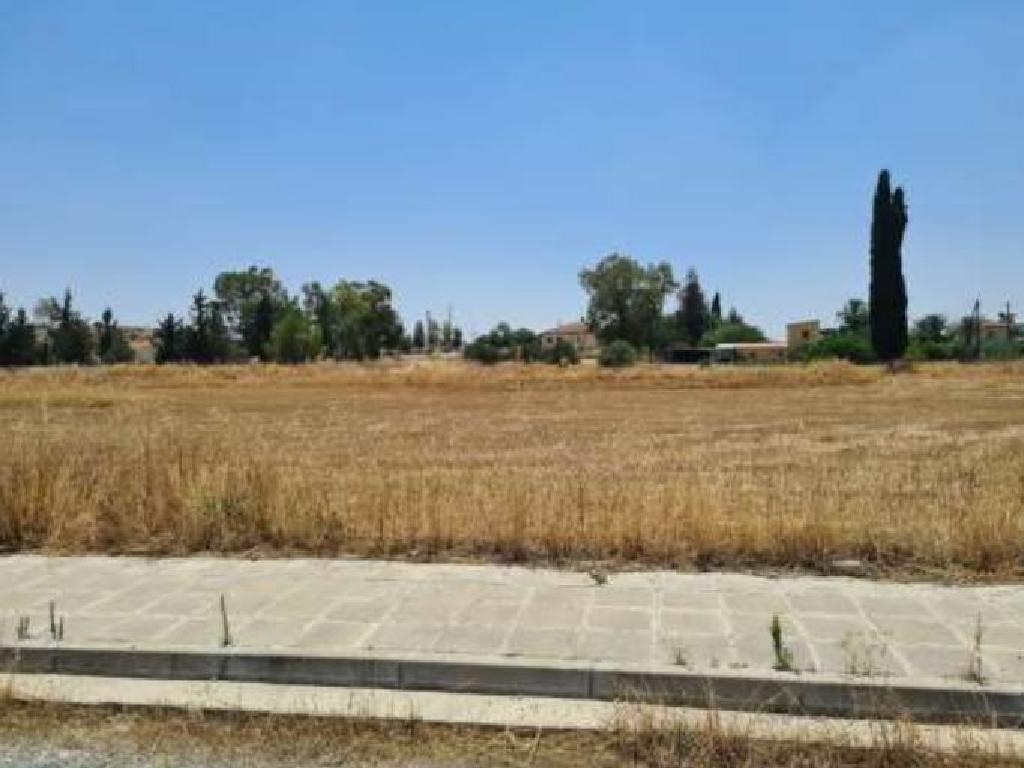 Field-Potamia-PR14488
