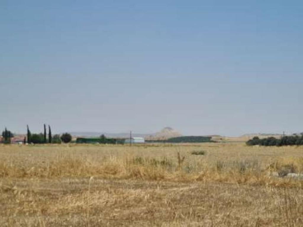 Field-Potamia-PR14488
