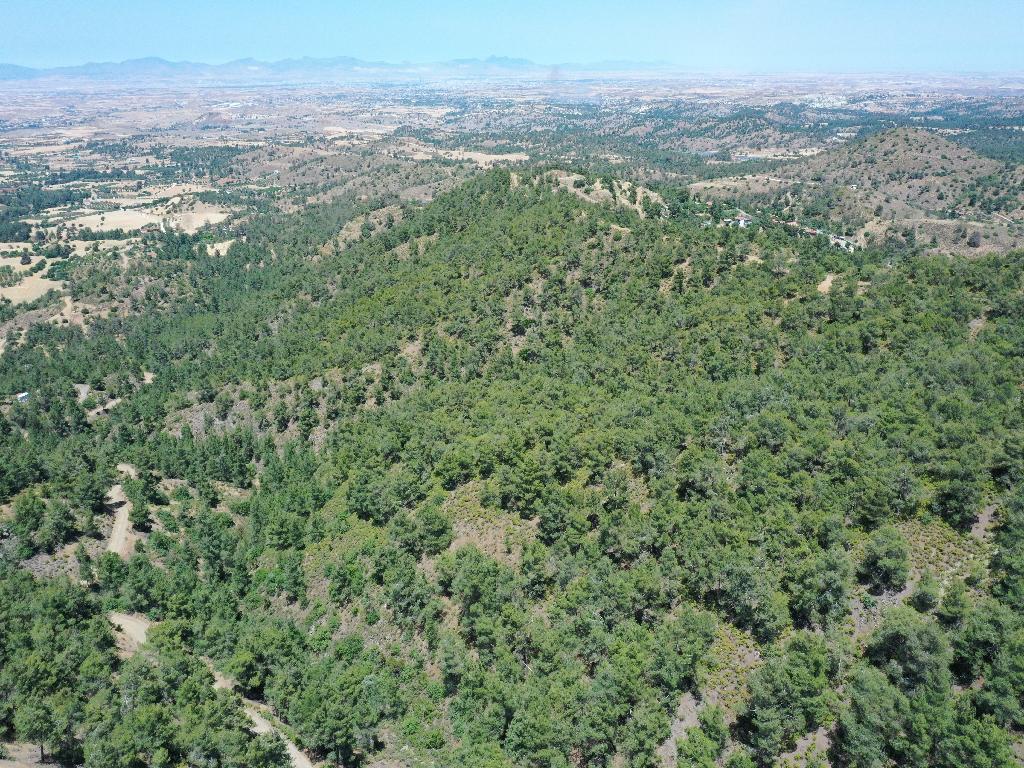 Field-Klirou-PR35395