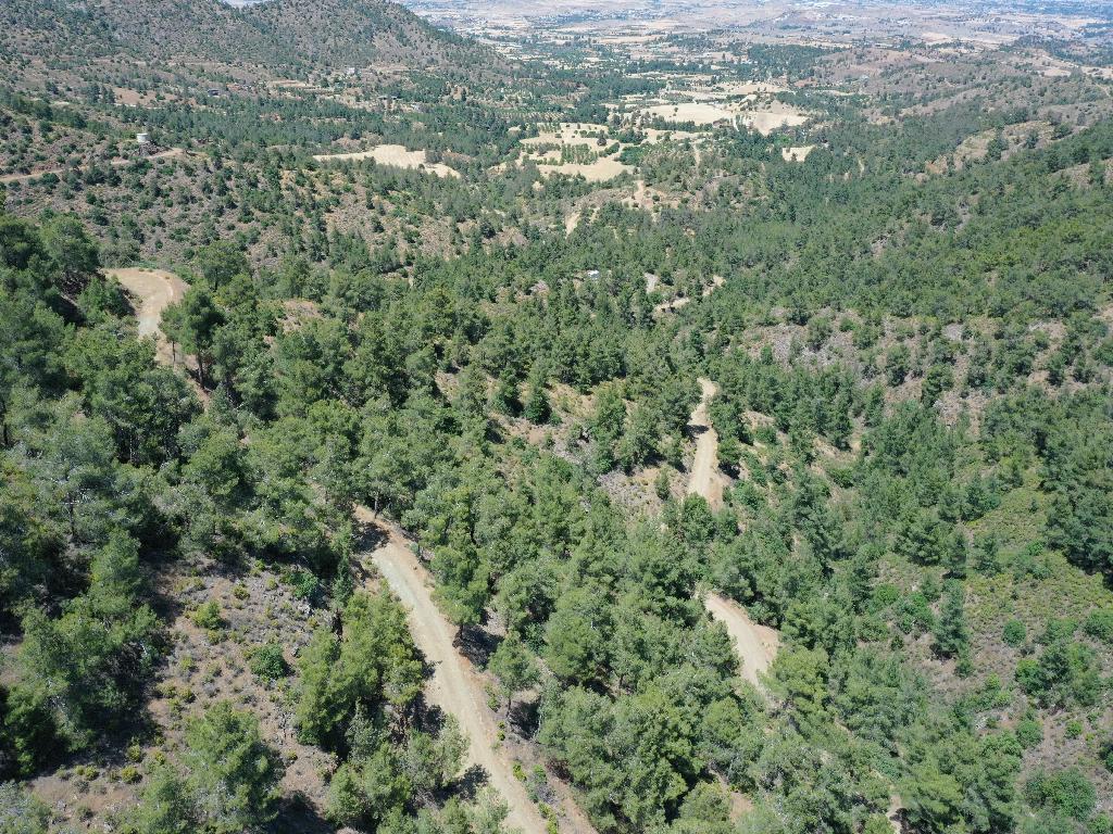 Field-Klirou-PR35395