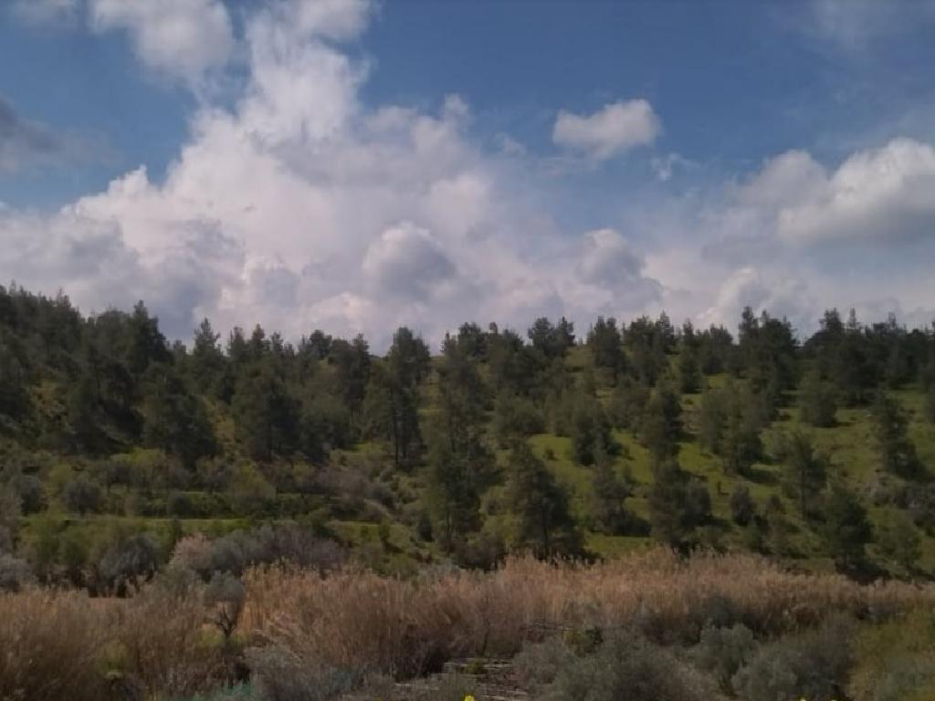 Field-Vyzakia-PR37241