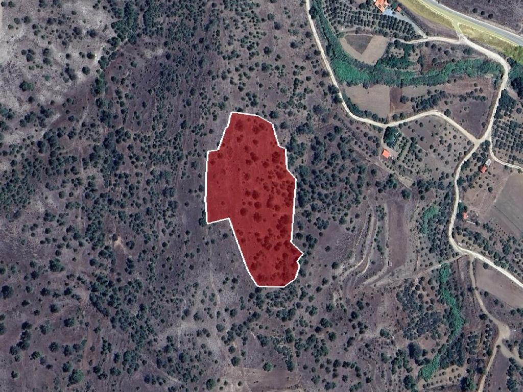 Field-Vyzakia-PR37241