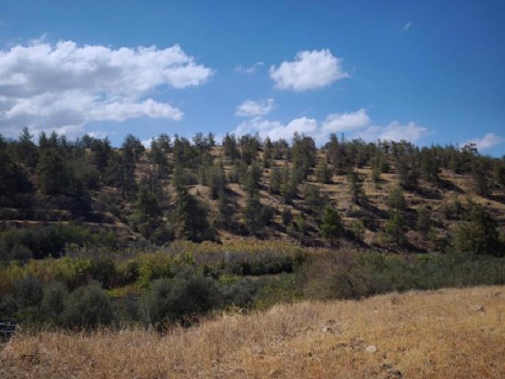 Field (Share) - Vyzakia, Nicosia