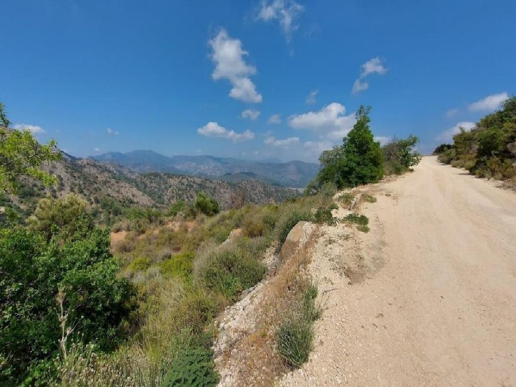 Field-Lazanias-PR37404