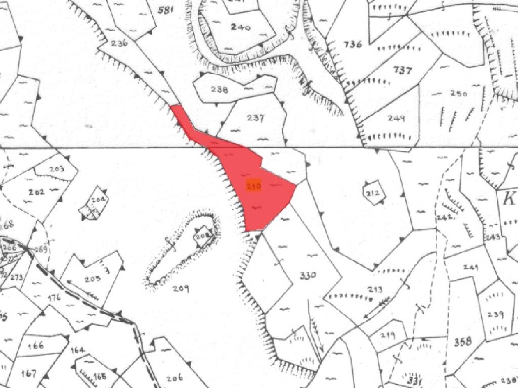 Field-Lazanias-PR37404