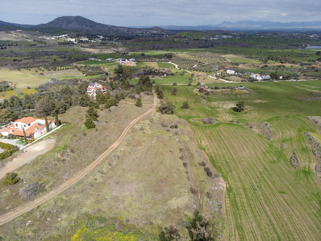 Field - Klirou, Nicosia