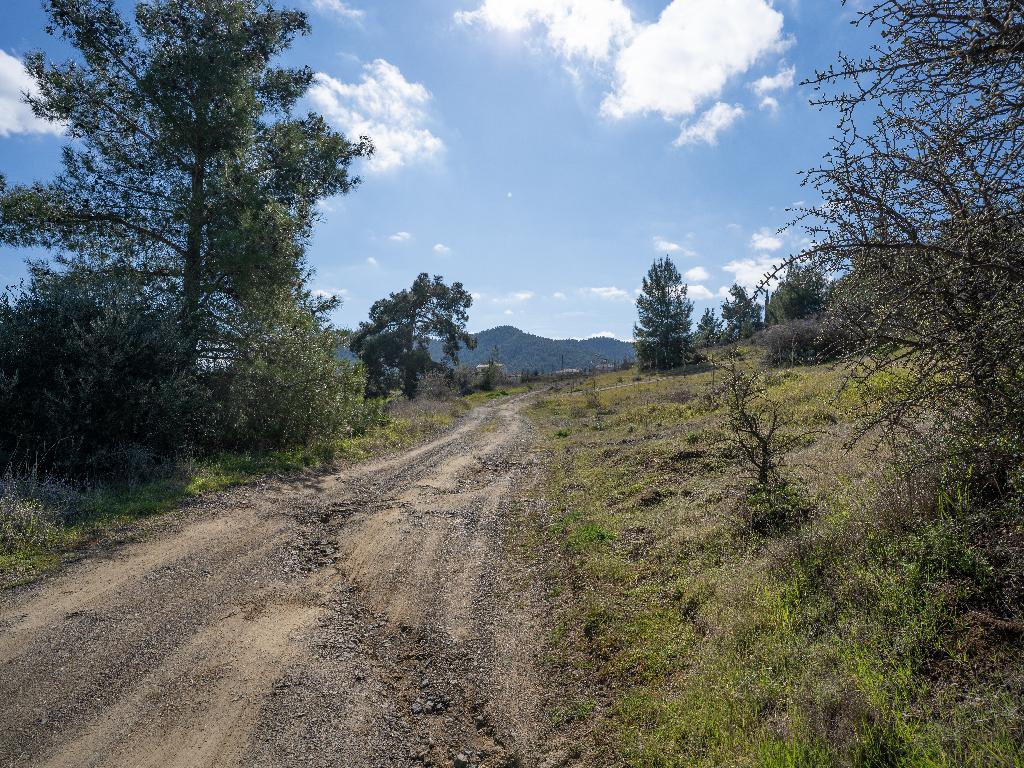 Field - Klirou, Nicosia