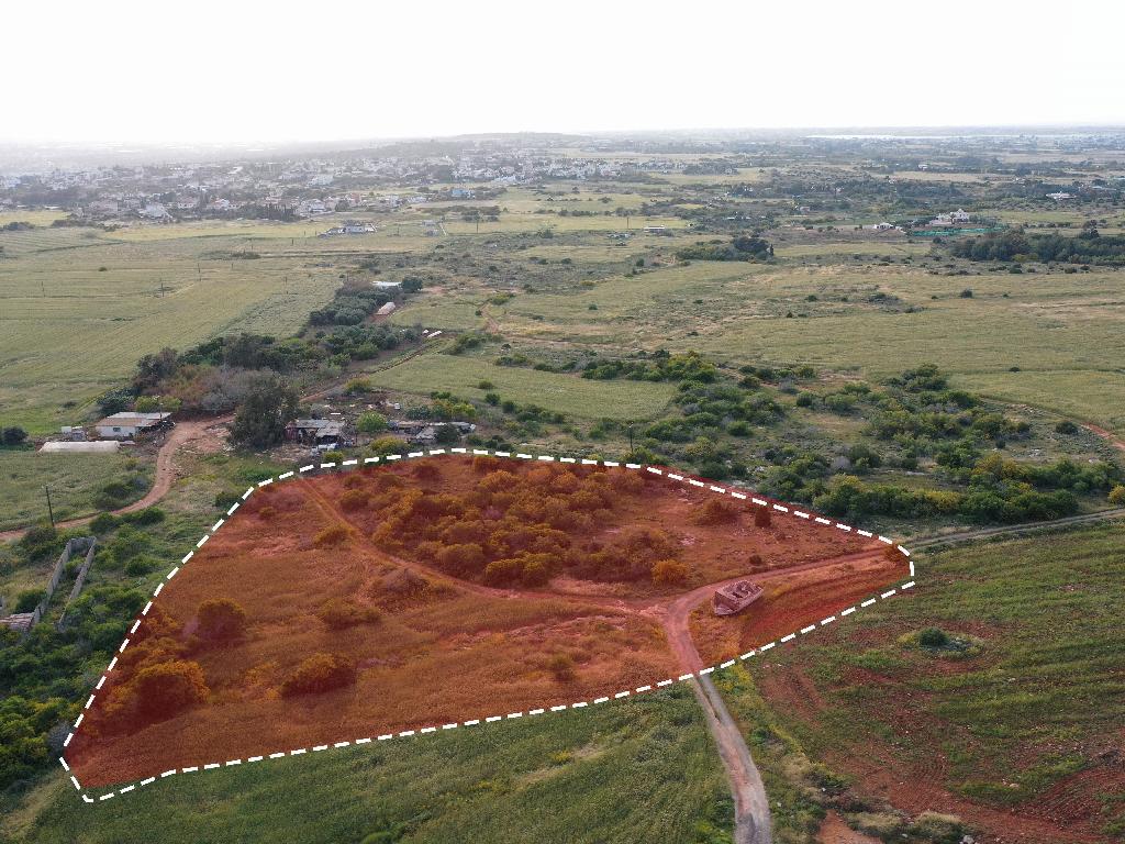 Field-Paralimni-PR37538