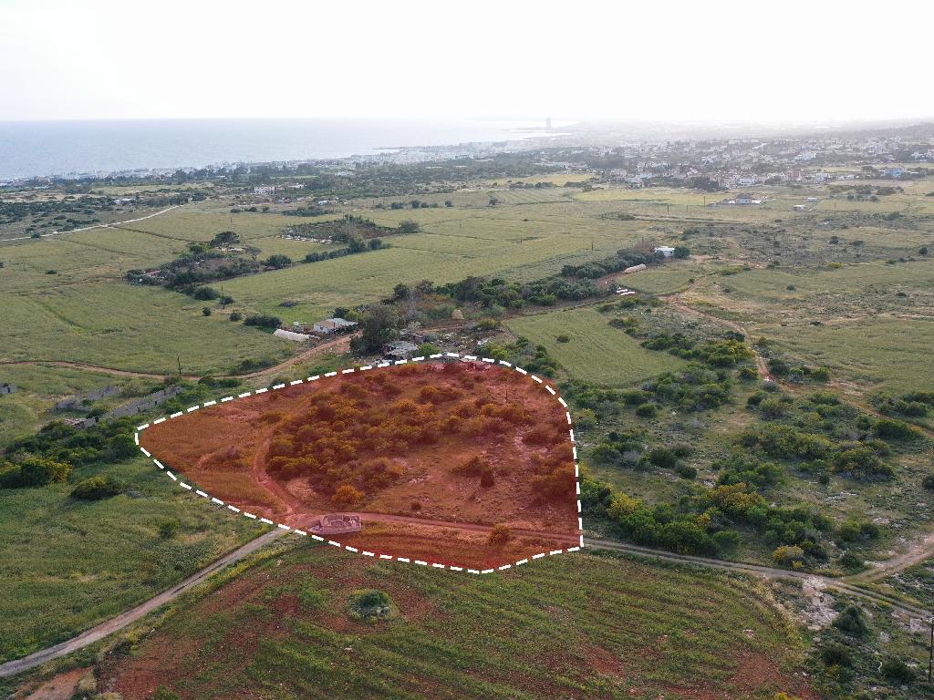 Field-Paralimni-PR37538
