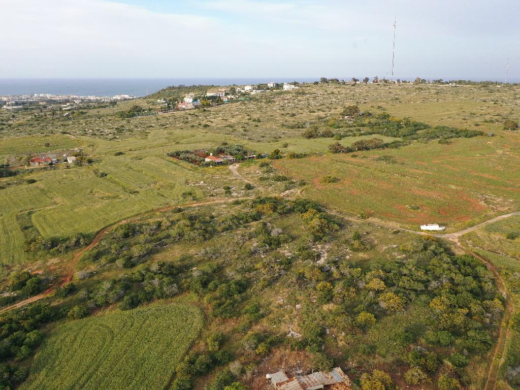 Field-Paralimni-PR37538