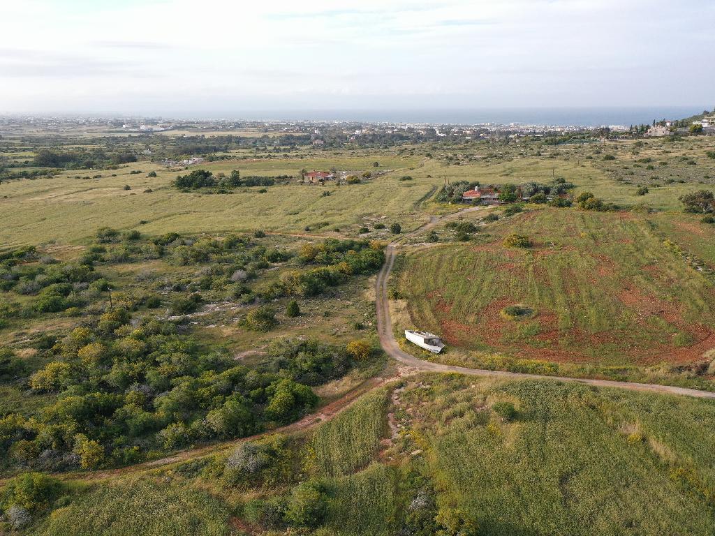 Field-Paralimni-PR37538