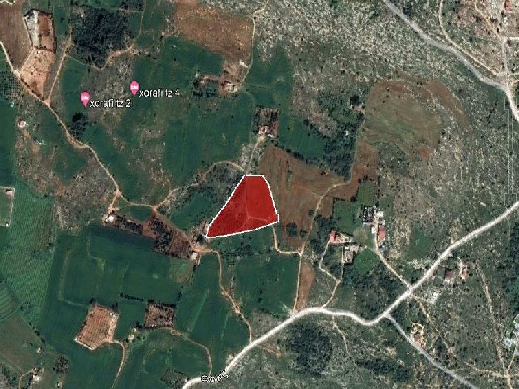 Field-Paralimni-PR37538