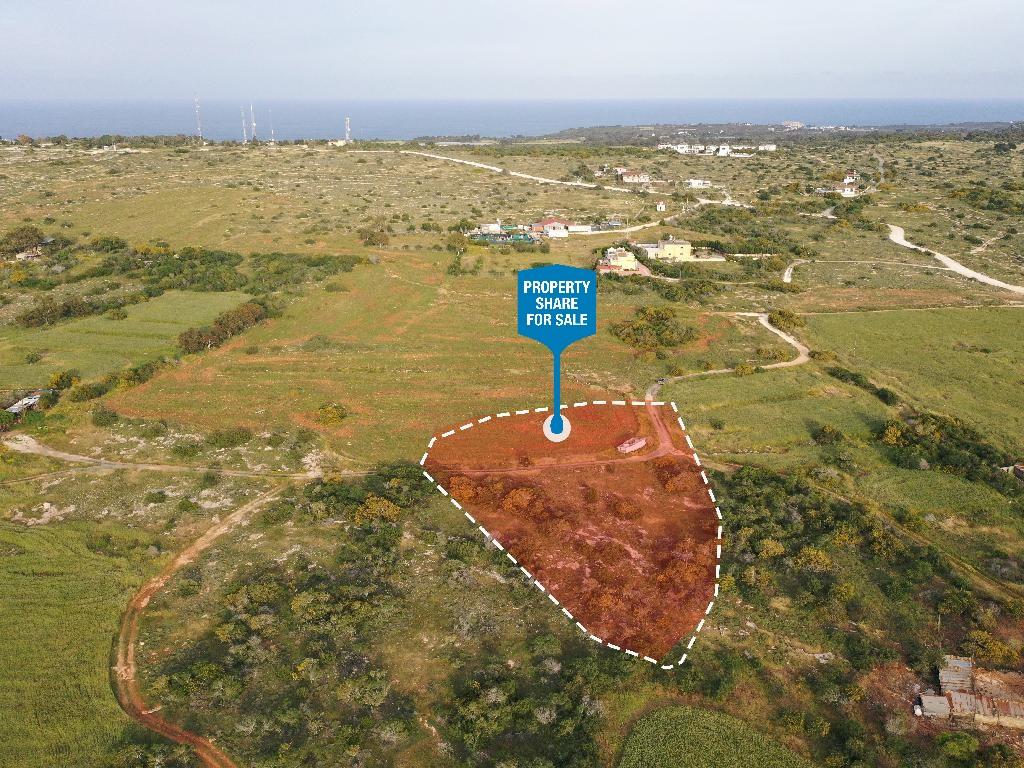 Field-Paralimni-PR37538