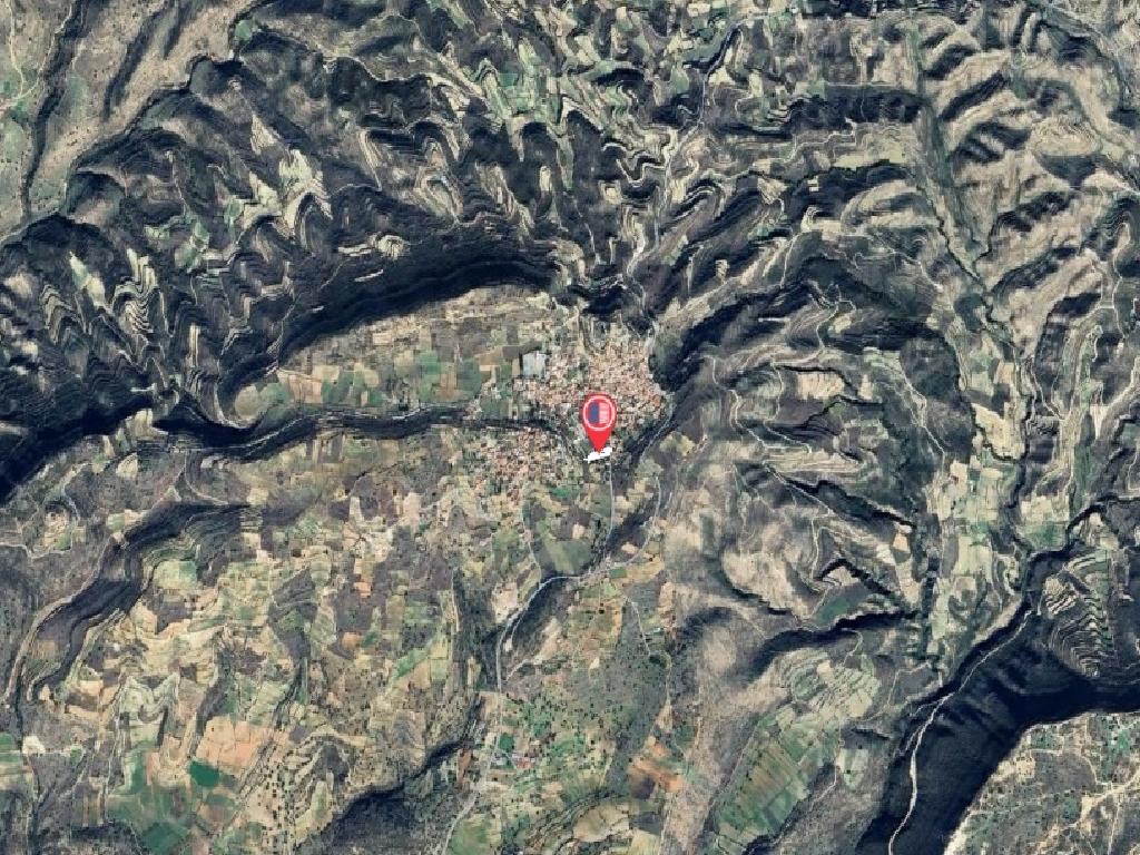 Field-Pachna-PR40218