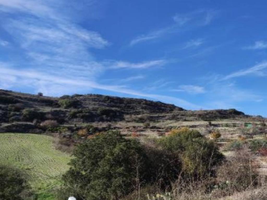 Field-Theletra-PR41725