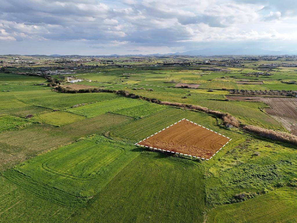 Field-Paleometocho-PR42110