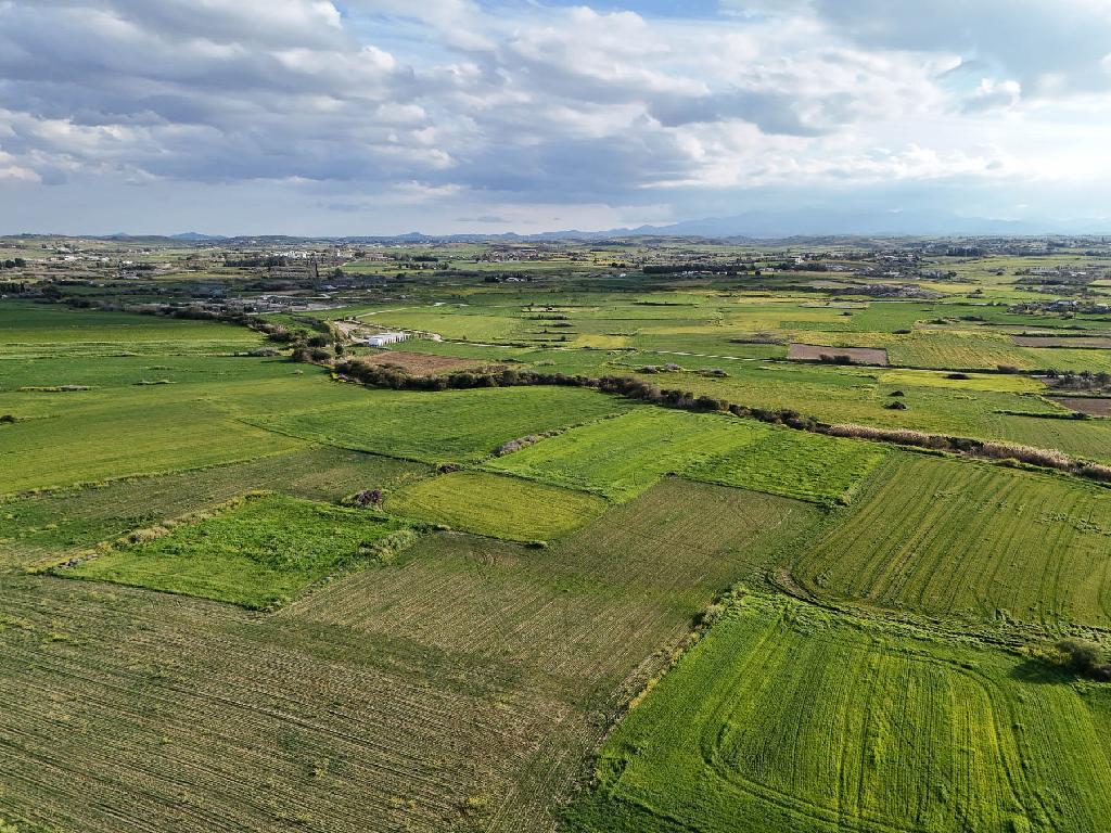 Field-Paleometocho-PR42110