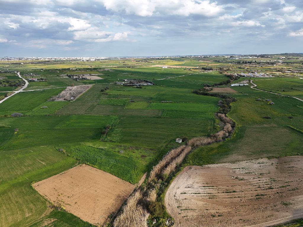 Field-Paleometocho-PR42110