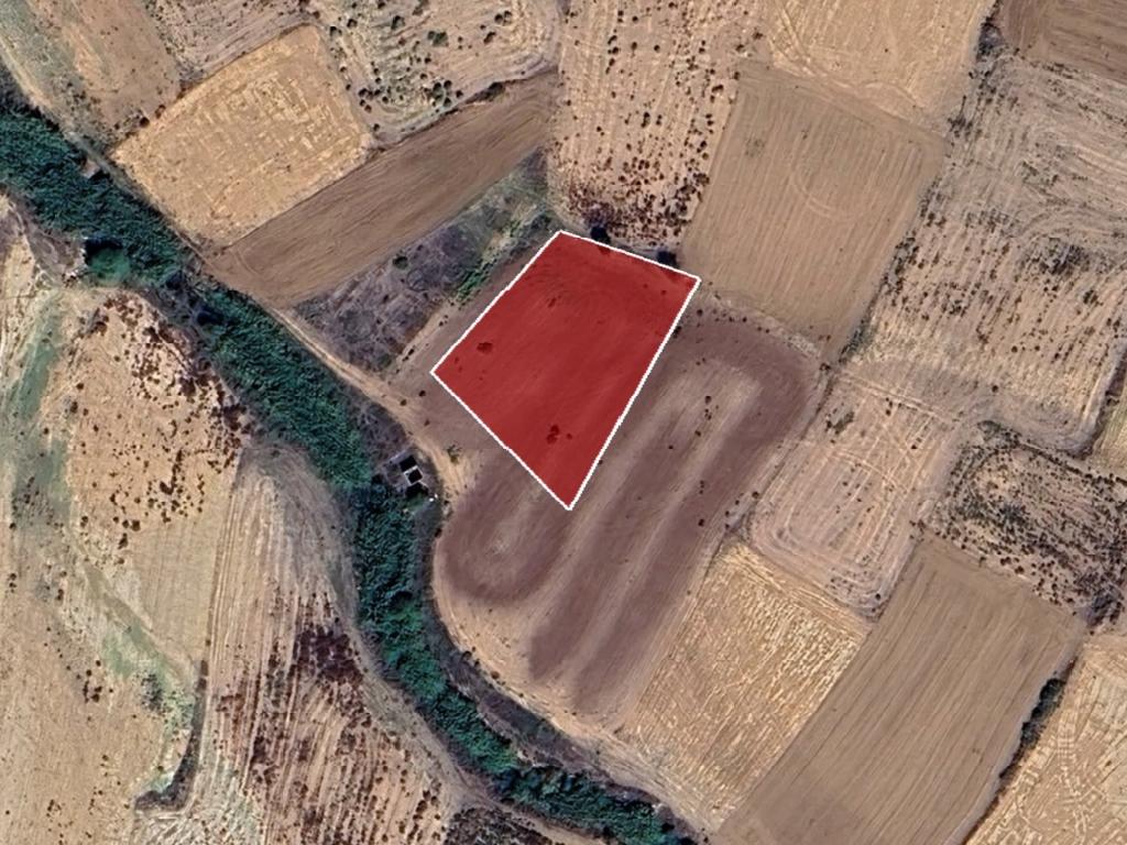 Field-Paleometocho-PR42110