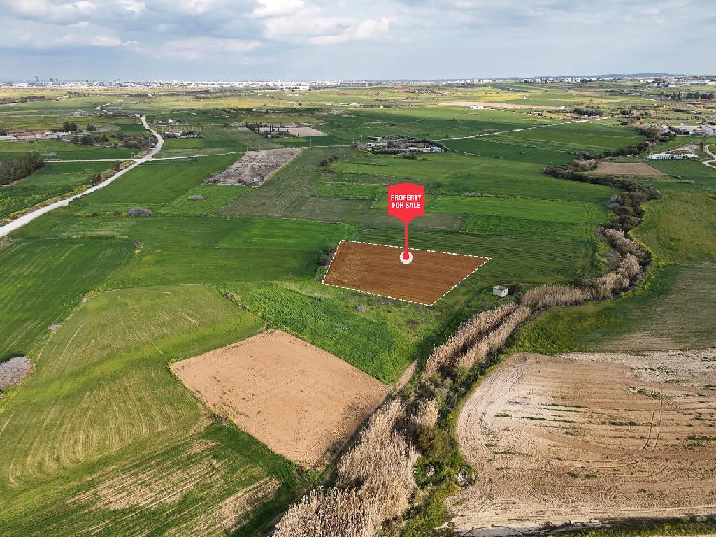 Field-Paleometocho-PR42110