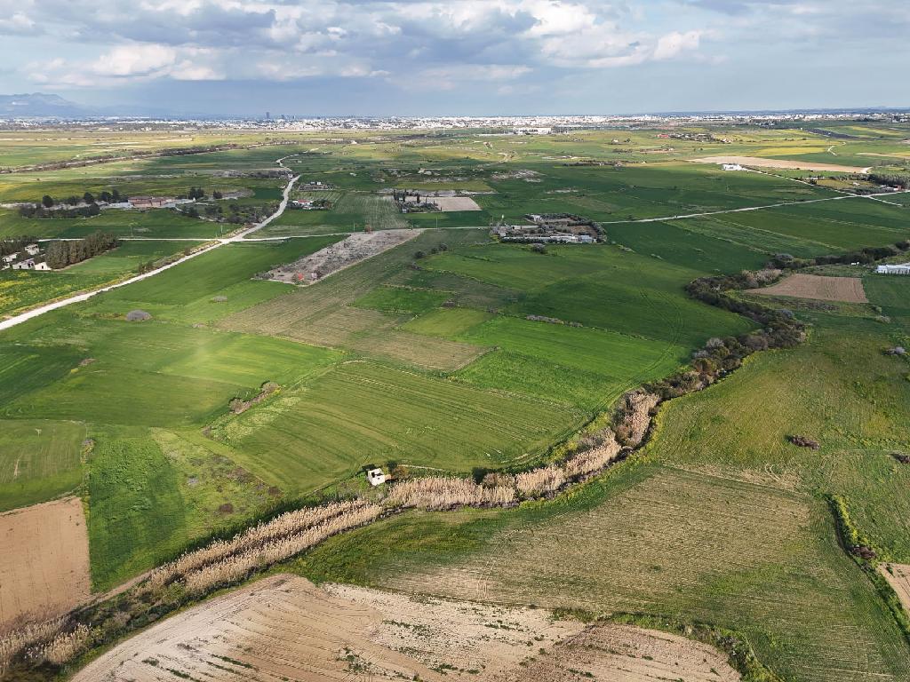 Field-Paleometocho-PR42110