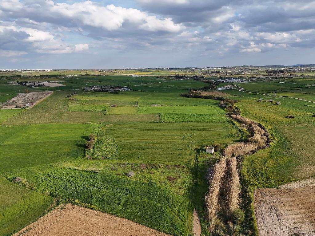Field-Paleometocho-PR42110