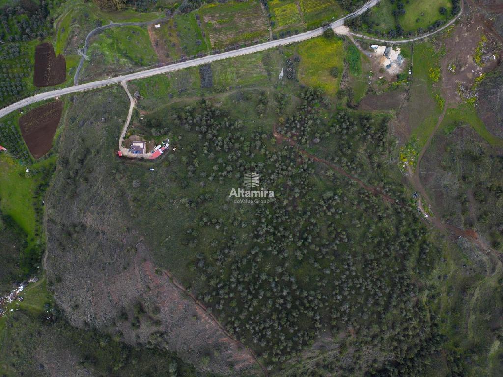 Χωράφι - Φλάσου, Λευκωσία