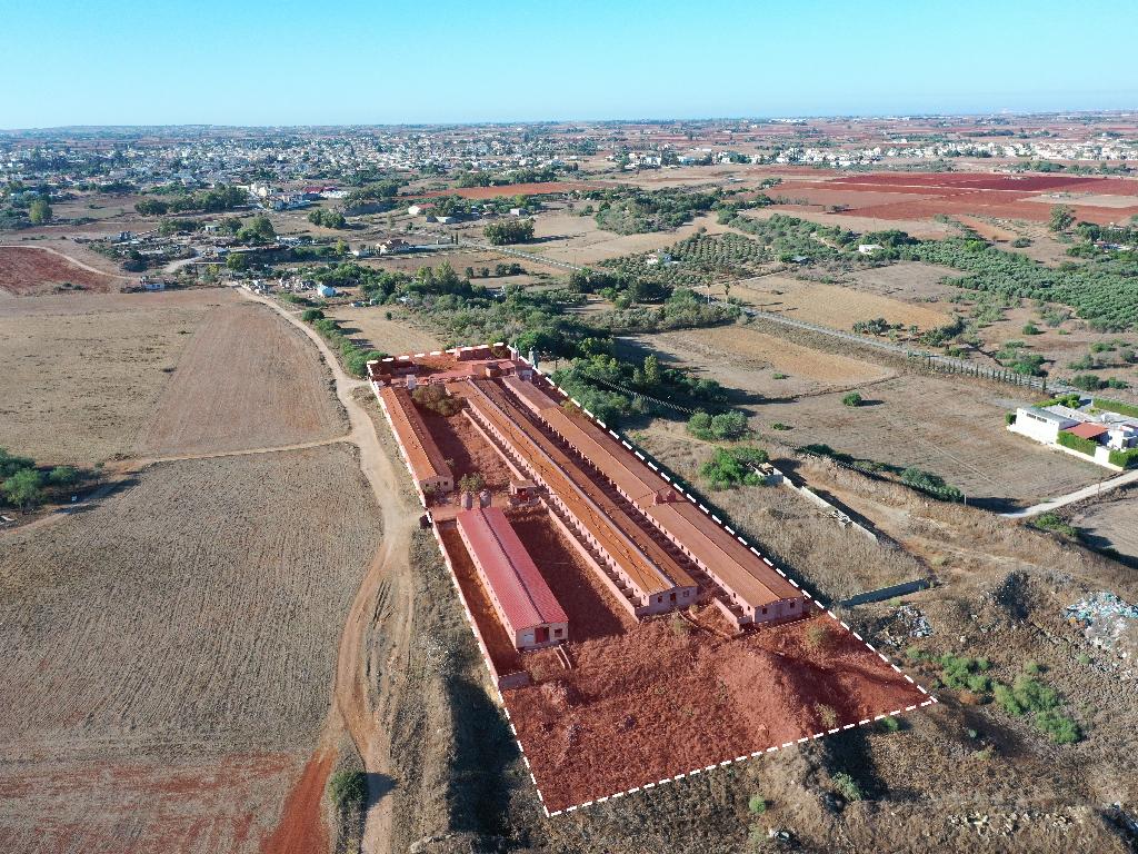 Warehouse-Avgorou-PR13897