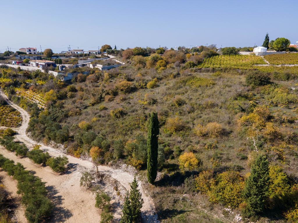 Field - Kathikas, Paphos