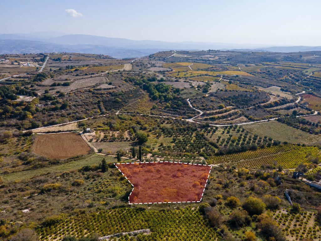 Field - Kathikas, Paphos