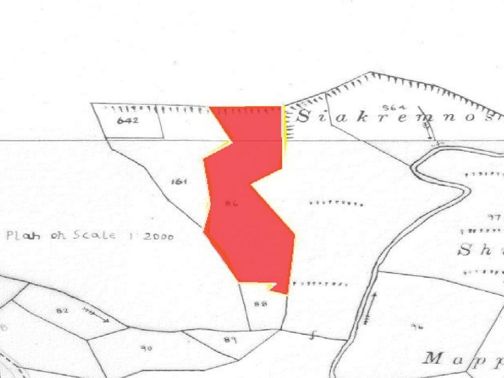 Field-Pigenia-PR13555