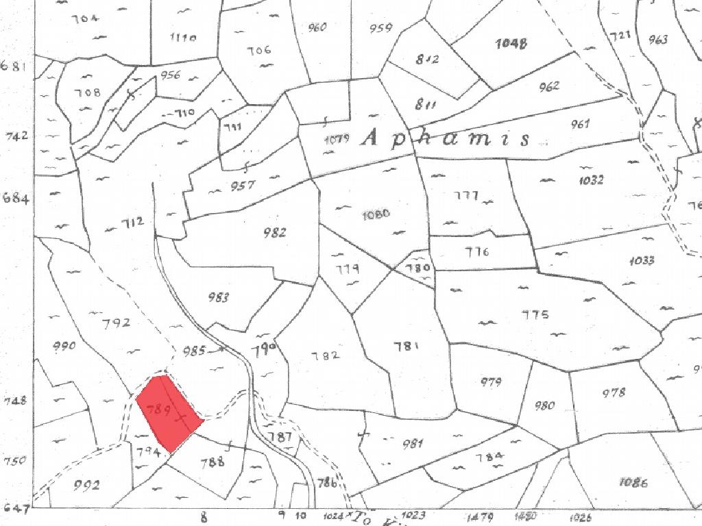 Field-Koilani-PR35024