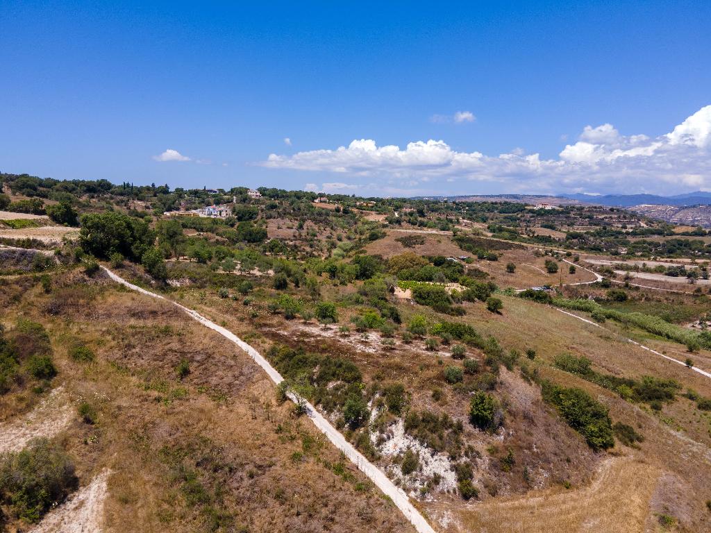 Field-Polemi-PR35116