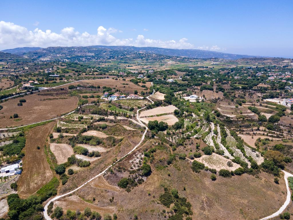Field-Polemi-PR35116