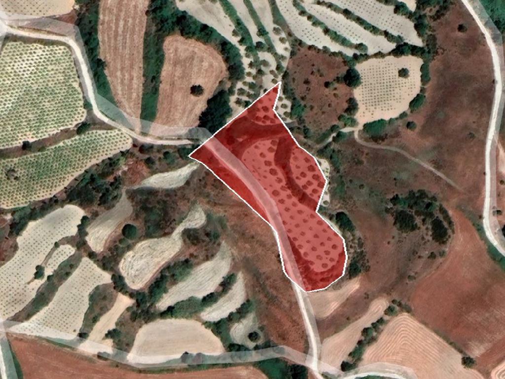 Field-Polemi-PR35116
