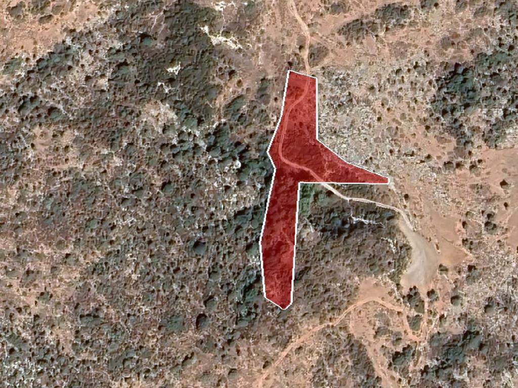 Field-Androlikou-PR35574