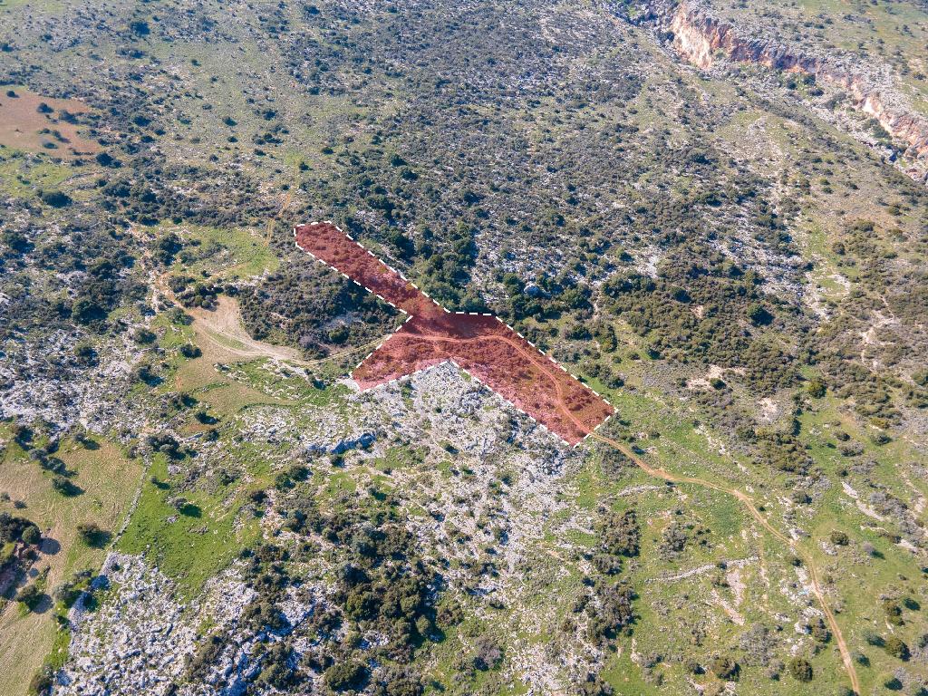 Field-Androlikou-PR35574