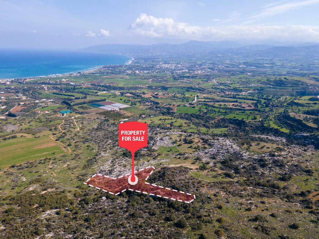 Field-Androlikou-PR35574