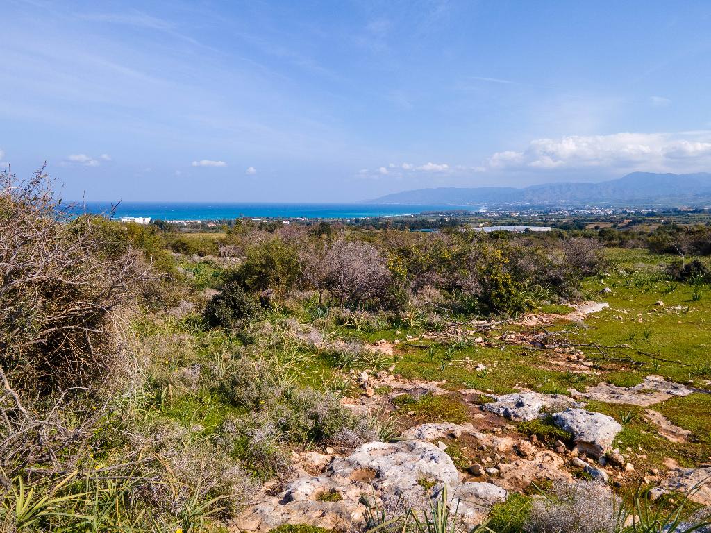 Field-Androlikou-PR35574