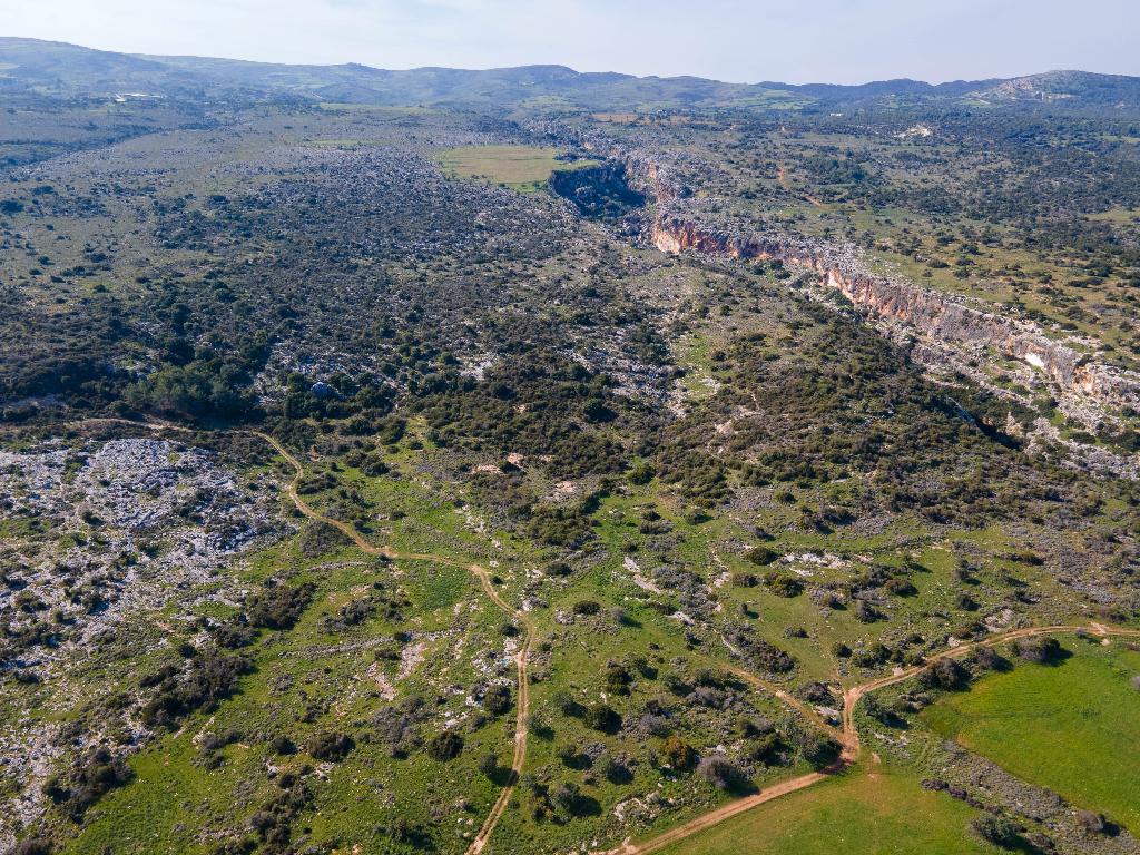 Field-Androlikou-PR35574