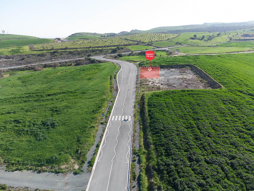 Field-Athienou-PR35771