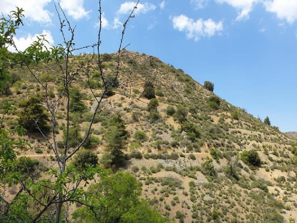 Field-Askas-PR36910