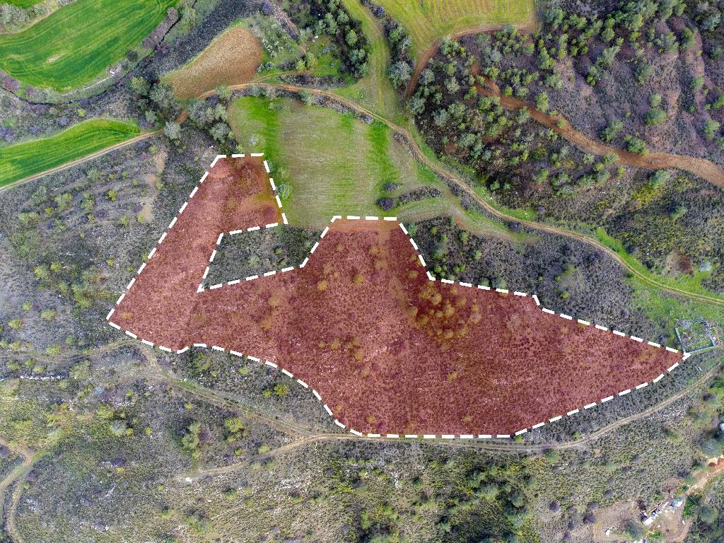 Field-Klirou-PR37291