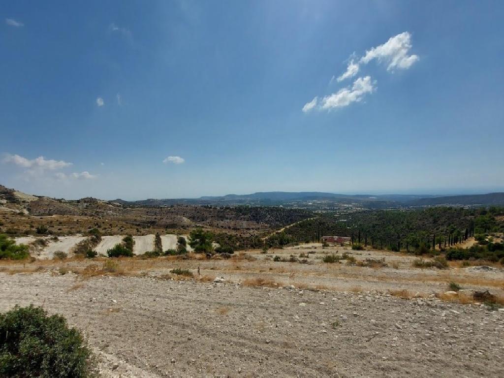 Field - Choirokitia, Larnaca