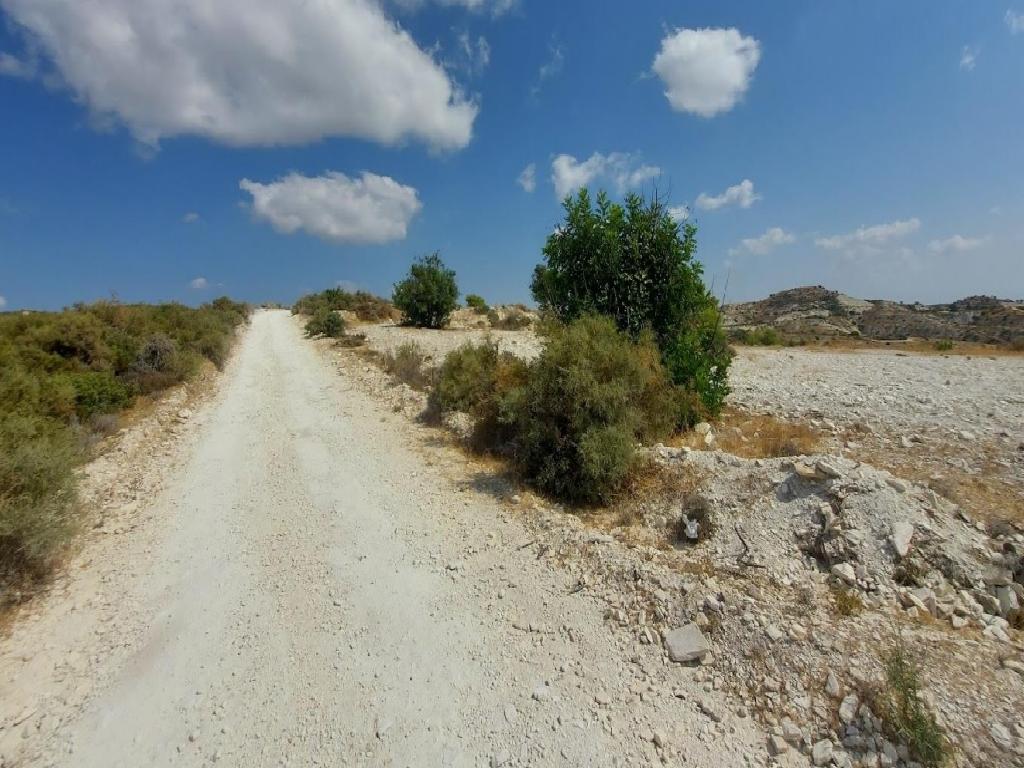 Field - Choirokitia, Larnaca