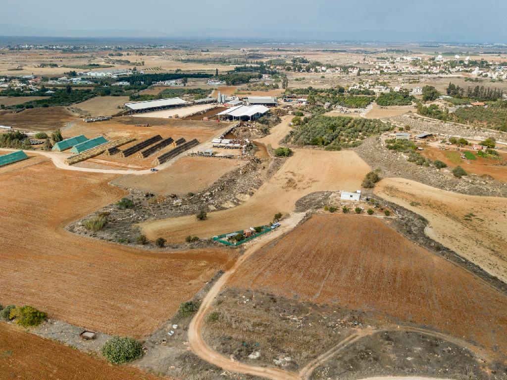 Field (Share) - Frenaros, Famagusta