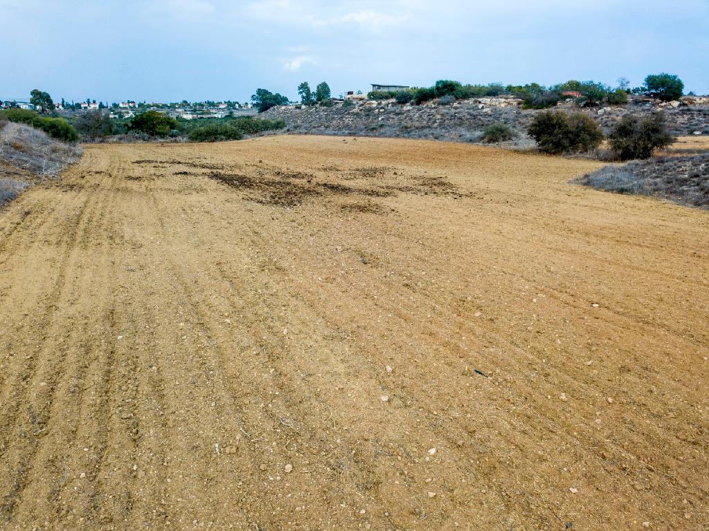 Field (Share) - Frenaros, Famagusta