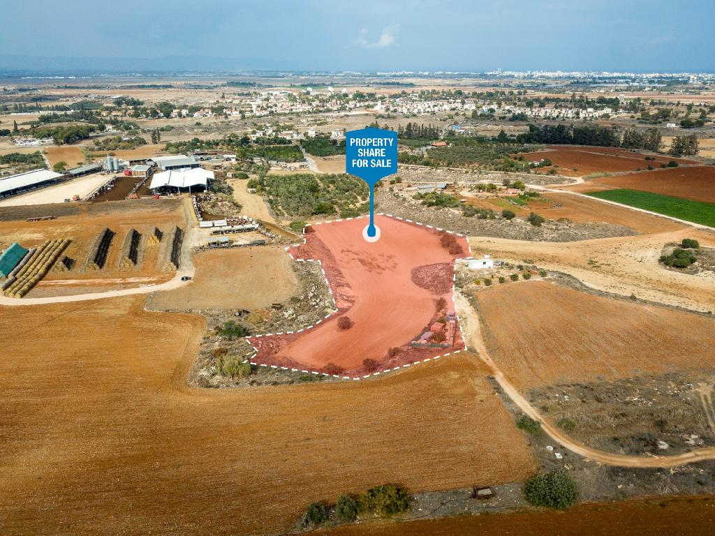 Field (Share) - Frenaros, Famagusta